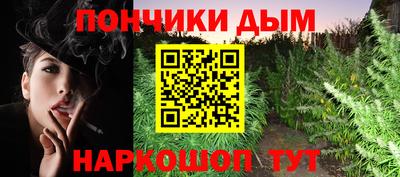 дурь Славгород