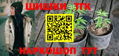 дурь Славгород