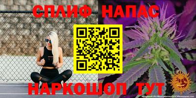 дурь Славгород