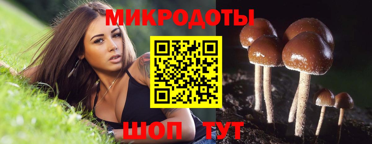 Истра  Галлюциногенные грибы прущие грибы  наркотики  Вход с VPN  Псилоцибиновые грибы Psilocybe 